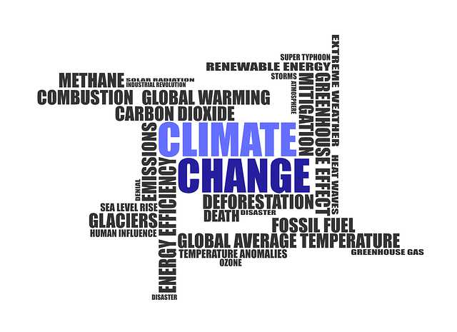 what climate change causes